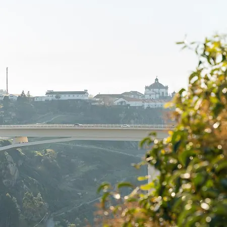 Апартаменты Portonest Downtown